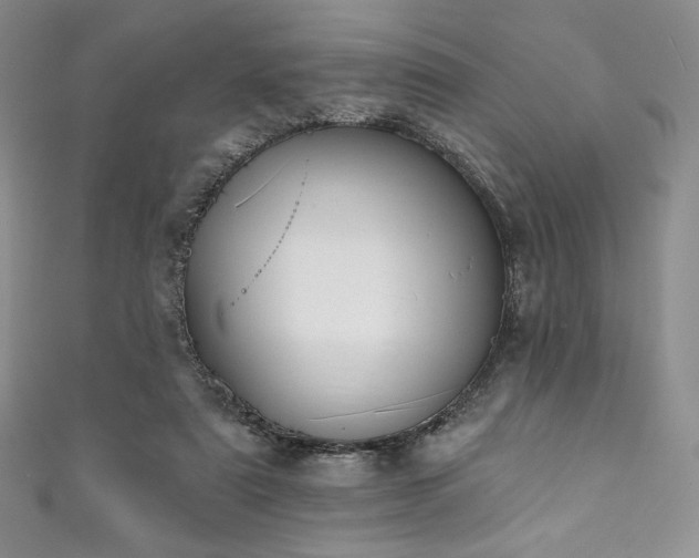 X0000111890307200907231602