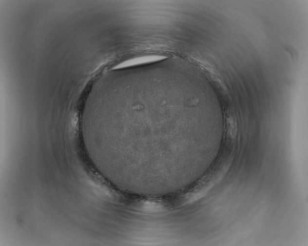 X0000111890308200907231602