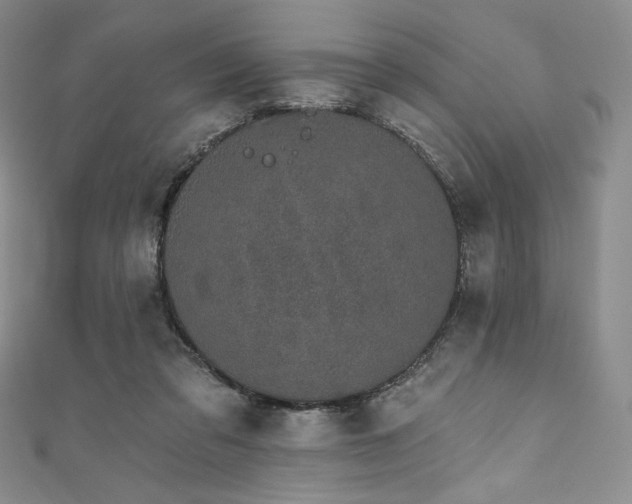 X0000111890309200907231602