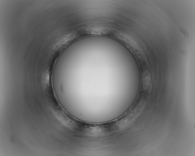 X0000111890310200907231602