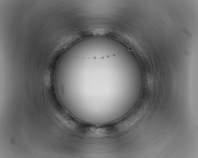 X0000111890311200907231602