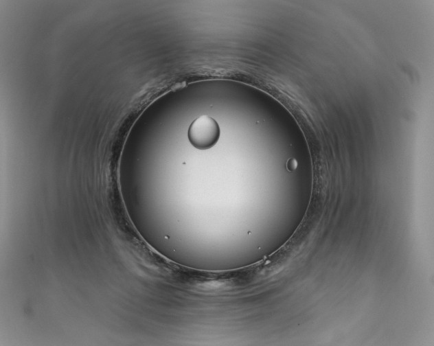 X0000111890312200907231602