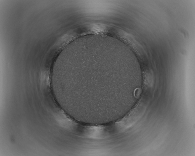 X0000111890313200907231602