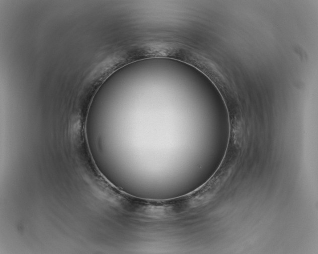 X0000111890314200907231602