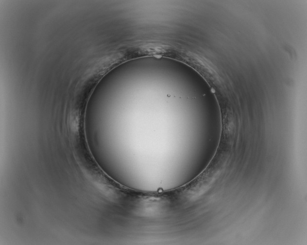 X0000111890315200907231602