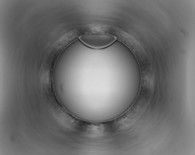 X0000111890317200907231602