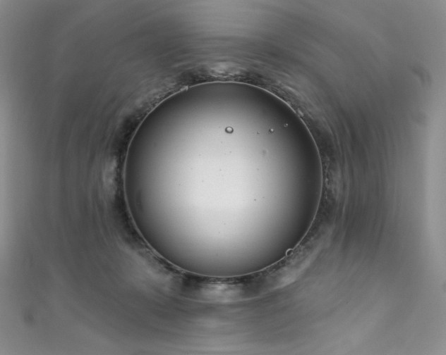 X0000111890319200907231602