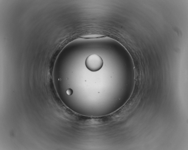 X0000111890320200907231602