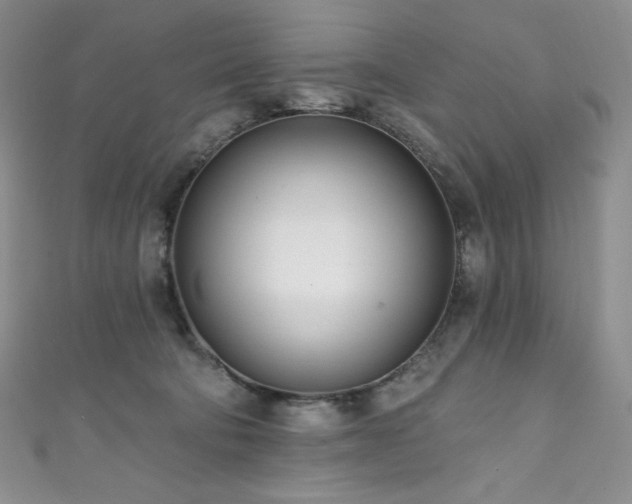 X0000111890322200907231602