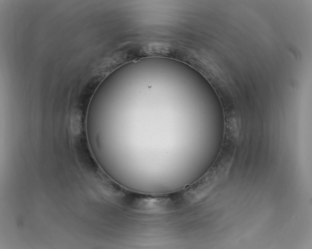 X0000111890323200907231602