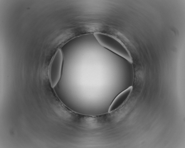 X0000111890325200907231602