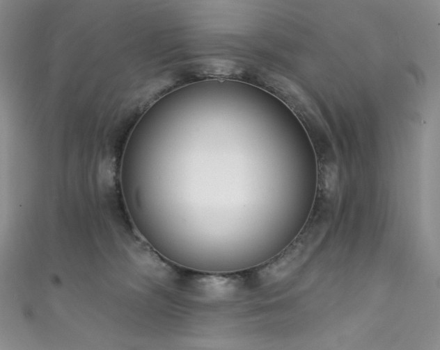 X0000111890326200907231602