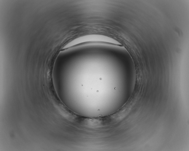 X0000111890327200907231602