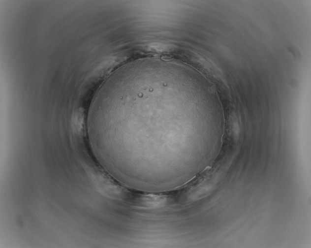 X0000111890328200907231601