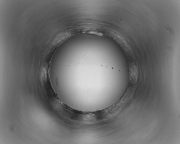 X0000111890333200907231601