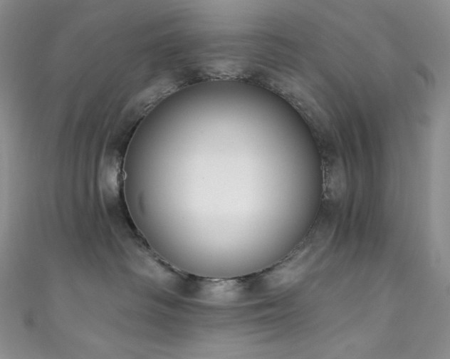 X0000111890334200907231601