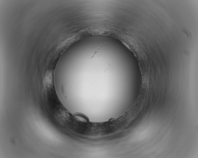 X0000111890335200907231601