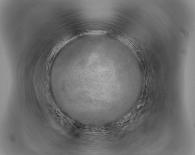 X0000111890337200907231601