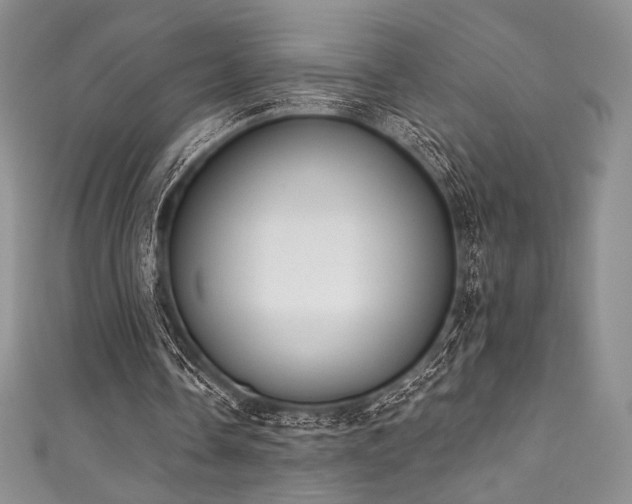 X0000111890338200907231601