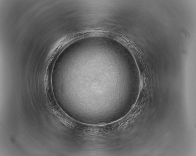 X0000111890339200907231601