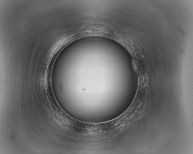 X0000111890340200907231601