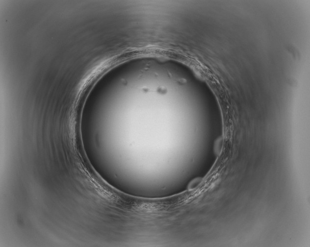 X0000111890341200907231601