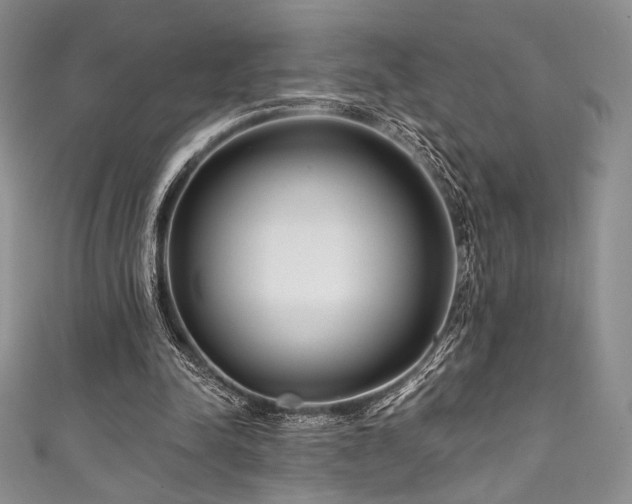 X0000111890342200907231601