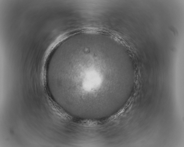 X0000111890343200907231601