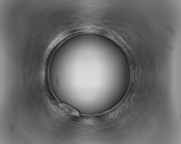 X0000111890344200907231601