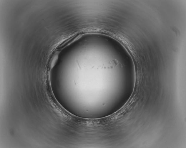 X0000111890345200907231601