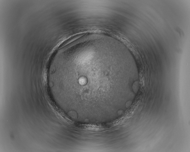 X0000111890347200907231601