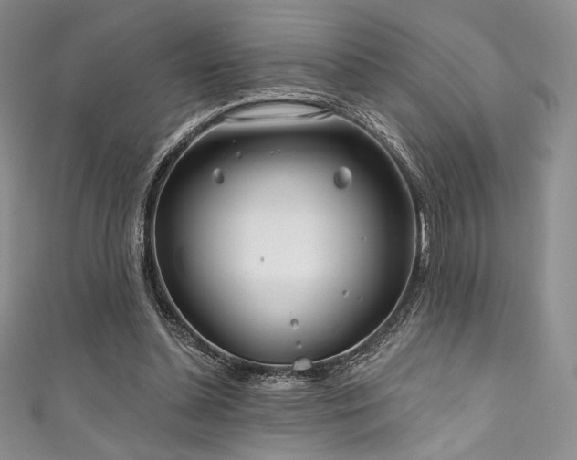 X0000111890348200907231601