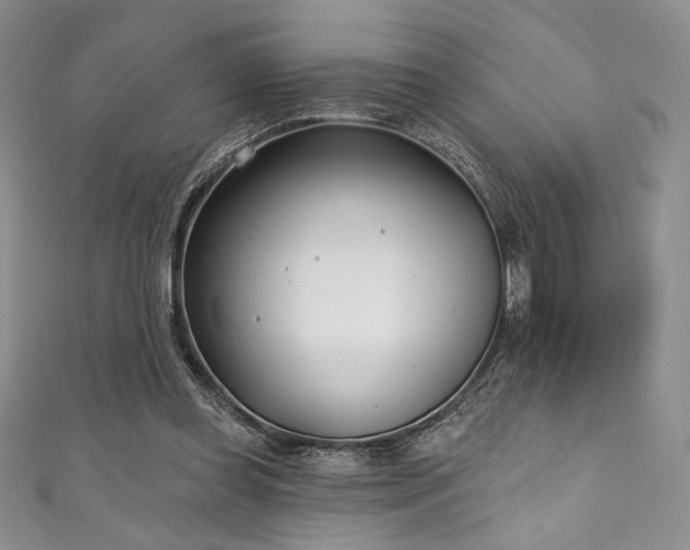 X0000111890349200907231601