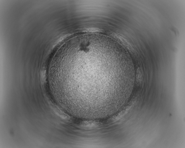 X0000111890351200907231601