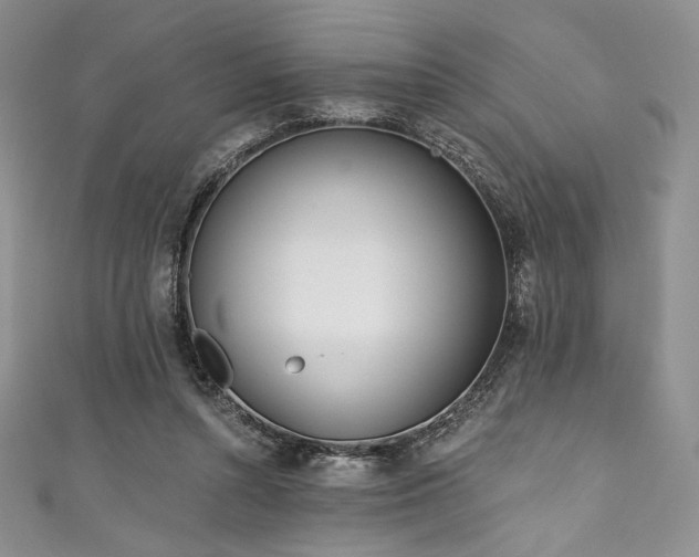 X0000111890352200907231601