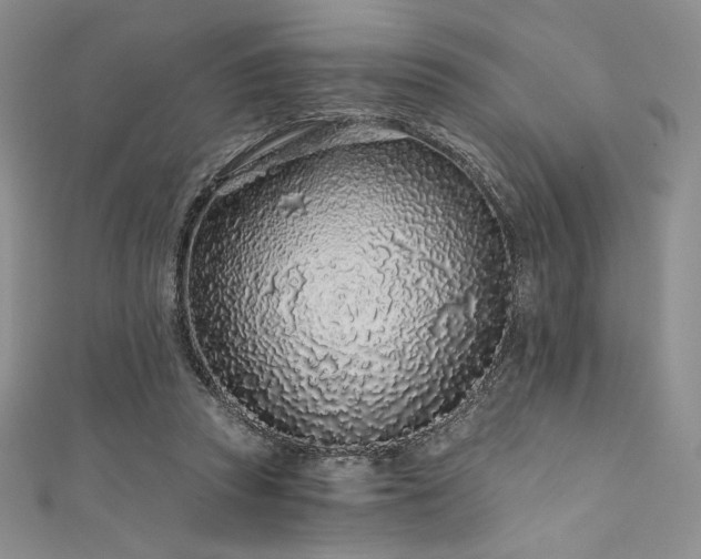 X0000111890353200907231601