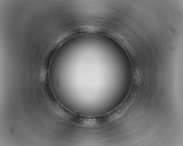 X0000111890355200907231601