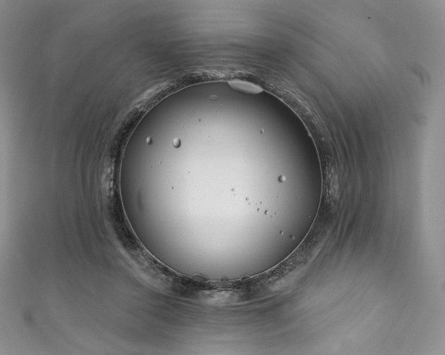 X0000111890356200907231601