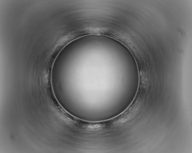 X0000111890357200907231601