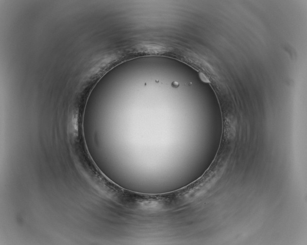 X0000111890358200907231601