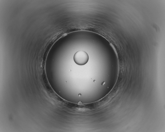 X0000111890360200907231601