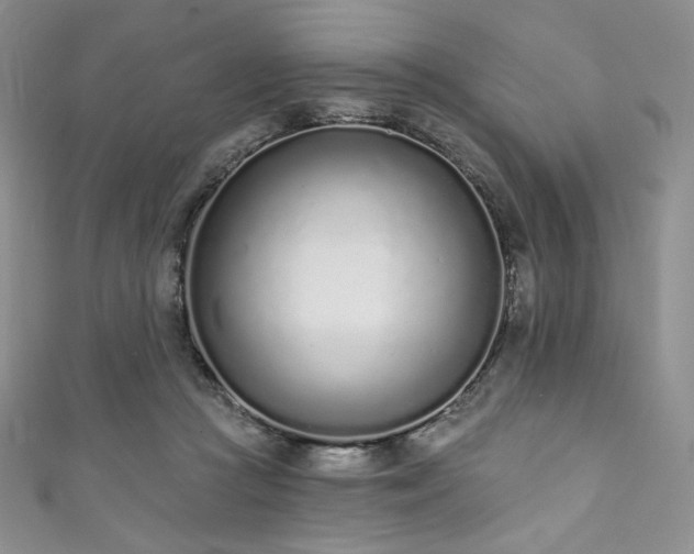 X0000111890361200907231601