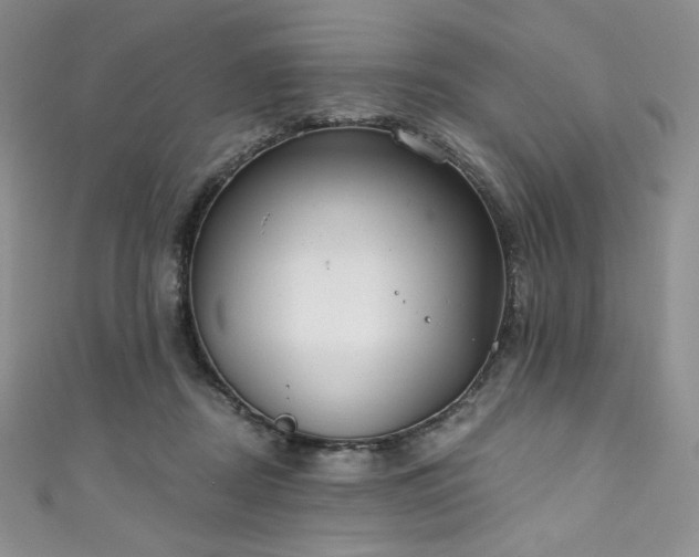 X0000111890362200907231601