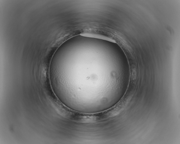 X0000111890363200907231601