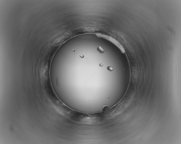 X0000111890364200907231601