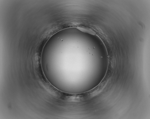 X0000111890366200907231601