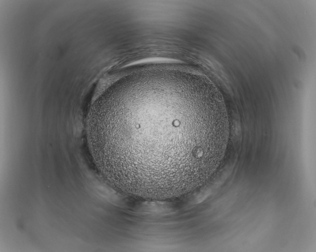 X0000111890367200907231601