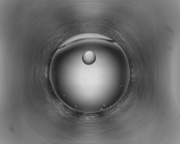 X0000111890368200907231601