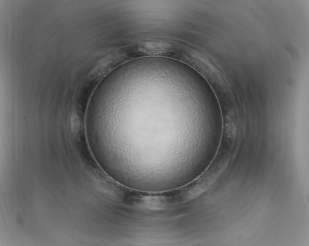 X0000111890371200907231601