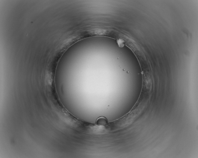 X0000111890374200907231601